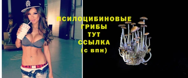 apvp Алексеевка